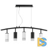 Подвесной светильник Lightstar Rullo LR7353723631 (571735+214437-2+214436-3+202431-5)