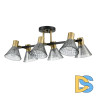 Потолочная люстра Lumion Anriya 8044/6C