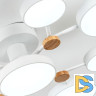Потолочная люстра LED4U L3201-780 WT