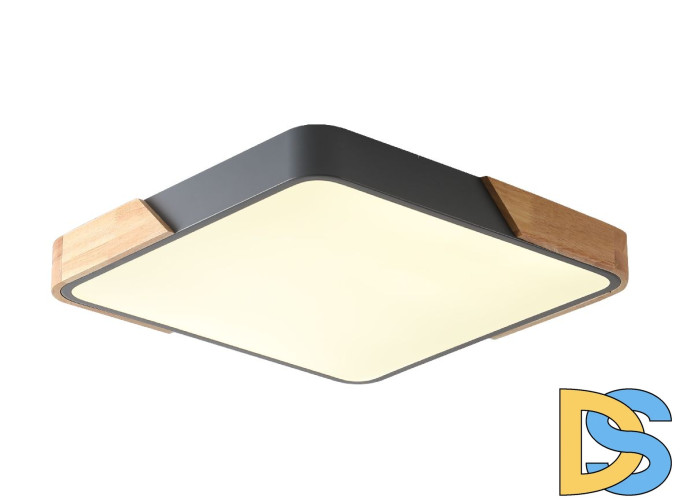 Потолочный светильник Zortes Alberro ZRS.01288.60