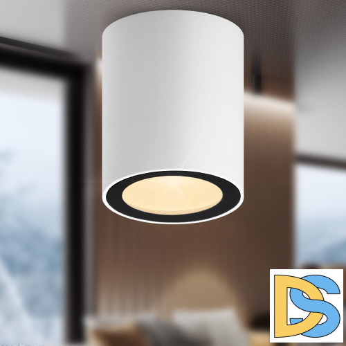 Накладной светильник Эра OL48 WH/BK Б0059799