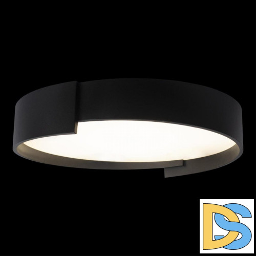 Потолочный светильник Loft IT Coin 10200 Black