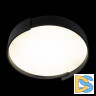 Потолочный светильник Loft IT Coin 10200 Black