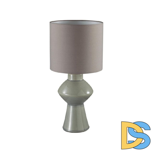 Настольная лампа Lumion Moderni Segi 8129/1T