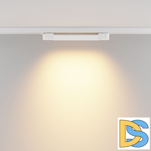 Трековый трехфазный светильник Maytoni Basis TR196-3-10W2.7K-W