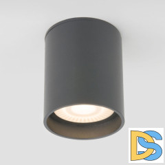 Уличный потолочный светильник Elektrostandard Light LED 4690389177002