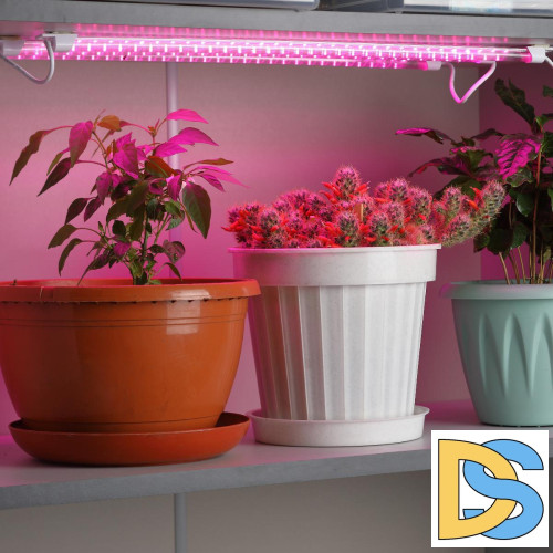 Светильник для растений Эра FITO-3х10W-LINE-RB90 Б0050924