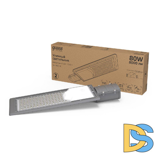 Уличный консольный светильник Gauss Avenue 629534280