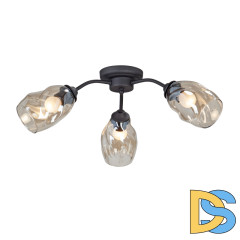 Потолочная люстра Vitaluce V4929-1/3PL