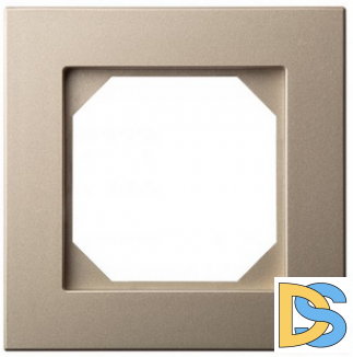 Рамка 1-ая Epsilon шампань