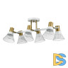 Потолочная люстра Lumion Anriya 8045/6C