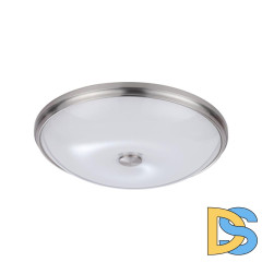 Настенно-потолочный светильник Odeon Light Pelow 4957/5