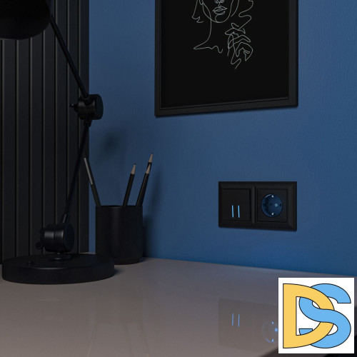 Розетка с подсветкой Werkel 4690389171727 W1171408