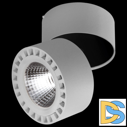 Потолочный светодиодный светильник Lightstar Forte 381393