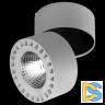 Потолочный светодиодный светильник Lightstar Forte 381393