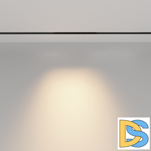 Трековый магнитный светильник Maytoni Points TR031-2-12W2.7K-B