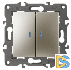 Выключатель двойной с подсветкой Эра 14-1105-04 Б0034240