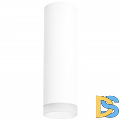 Потолочный светильник Lightstar RULLO R649680 (216496+202480)