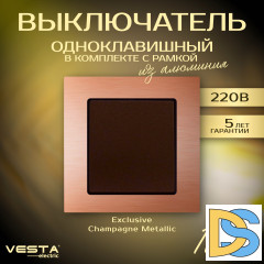 Выключатель одноклавишный в рамке из алюминия Vesta-Electric Exclusive Champagne Metallic