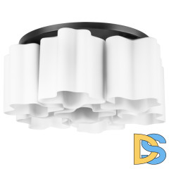 Потолочная люстра Lightstar Nubi 802077