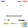 Подвесной светильник Lightera Luara LE102L-100G WIFI