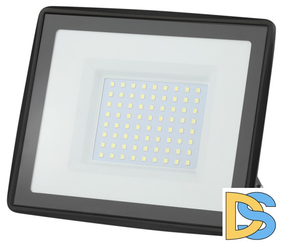 Прожектор Эра LPR-023-0-65K-100 Б0052026