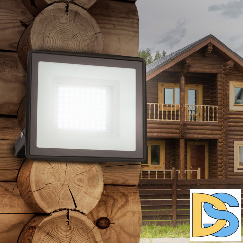 Прожектор Эра LPR-023-0-65K-100 Б0052026