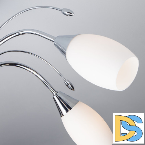 Потолочная люстра Eurosvet 22080/6 хром