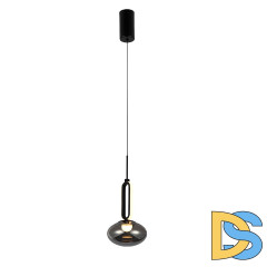 Подвесной светильник Favourite Baron 4284-1P