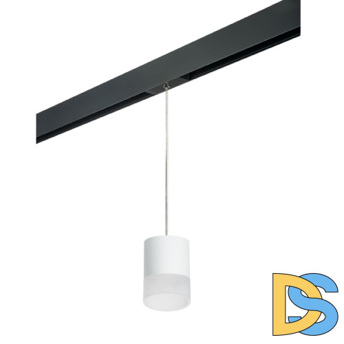 Трековый однофазный светильник Lightstar Rullo (213486+595887+202481) PRORP348681