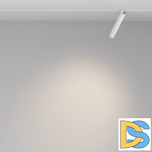 Трековый магнитный светильник Maytoni Focus T TR141-2-6W3K-M-W