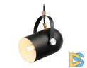 Подвесной светильник Ambrella Light Traditional TR8206