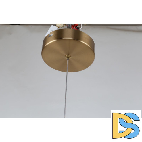 Подвесной светильник F-Promo Chantra 4088-1P