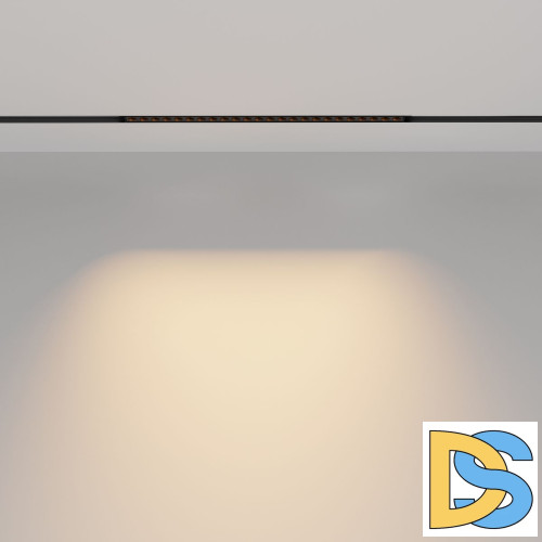 Трековый магнитный светильник Maytoni Points TR031-2-24W2.7K-B