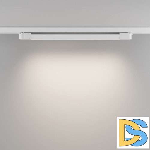 Трековый трехфазный светильник Maytoni Basis TR196-3-20W4K-W