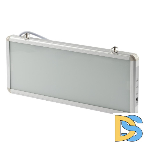 Аварийный светильник Эра SSA-101-0-20 Б0044387