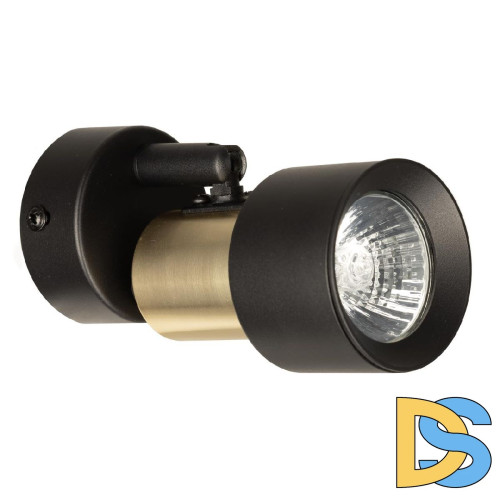 Спот Citilux Sat CL505611