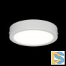 Накладной светильник Citilux Галс CL5516N