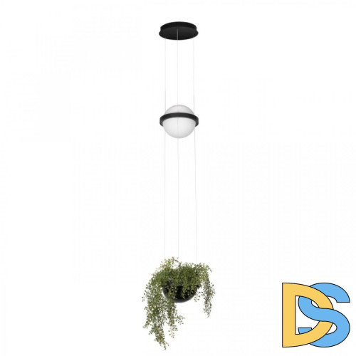 Подвесной светильник Loft IT Jardin 10121/B