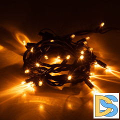 Светодиодная гирлянда Эра ERAPS-NZ1 Б0060543