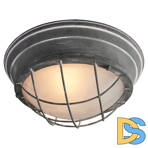 Потолочный светильник Lussole Loft GRLSP-9881