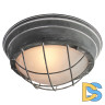 Потолочный светильник Lussole Loft GRLSP-9881