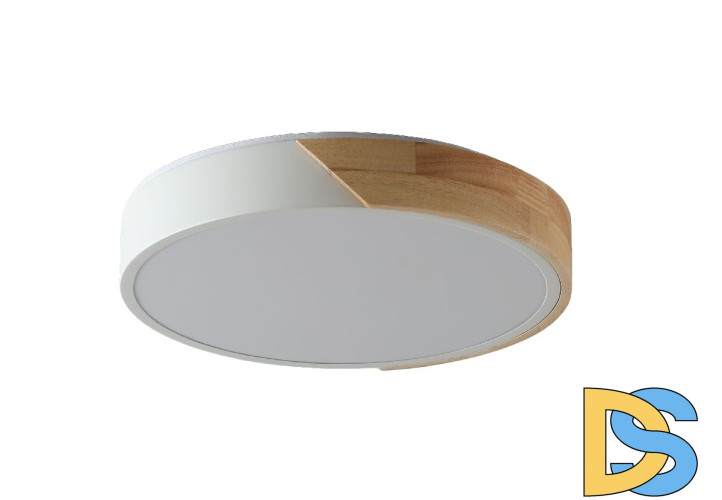 Потолочный светильник Zortes Alberro ZRS.01289.72