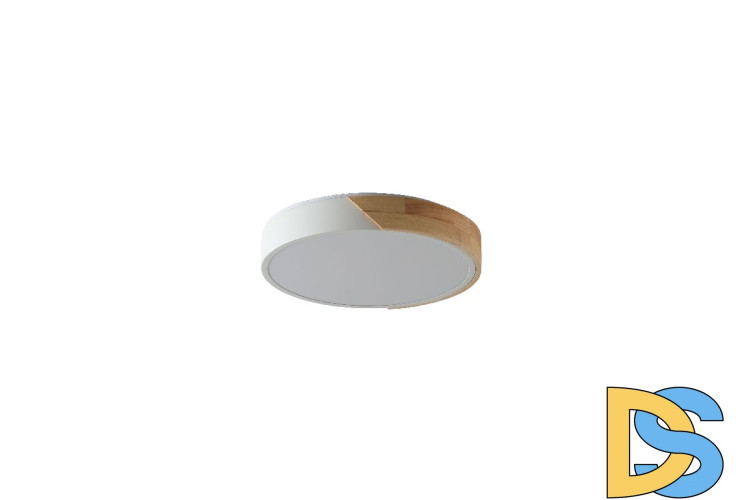 Потолочный светильник Zortes Alberro ZRS.01289.72