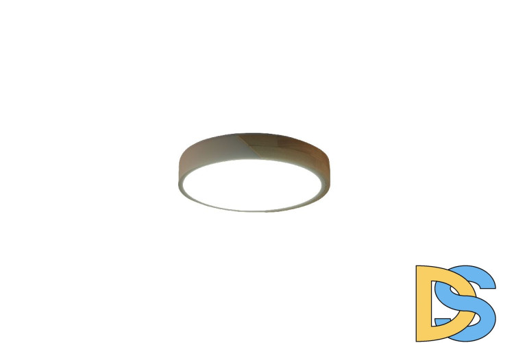 Потолочный светильник Zortes Alberro ZRS.01289.72