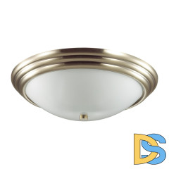 Настенно-потолочный светильник Lumion Vintage 5262/3C