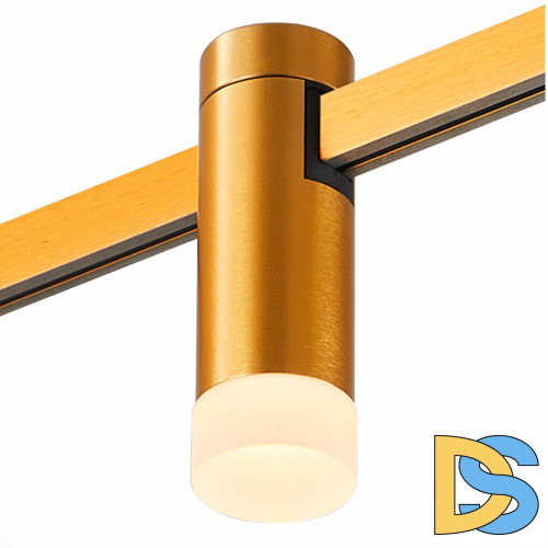 Трековый магнитный светильник ST Luce Farm ST812.206.03