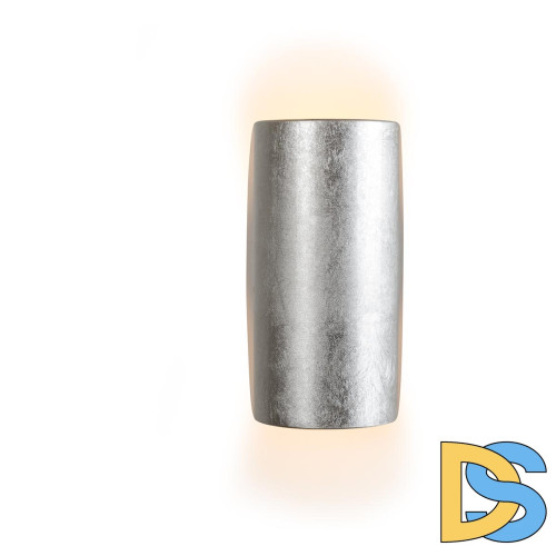 Настенный светодиодный светильник iLedex Cute ZD8077-6W Silver