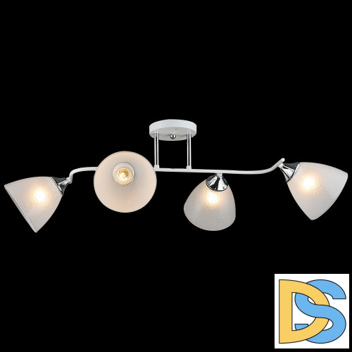 Потолочная люстра Reluce 01706-0.3-04