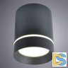 Потолочный светодиодный светильник Arte Lamp A1909PL-1BK